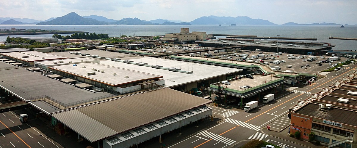 main-visual